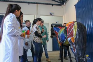 Medicina Veterinária promove atividades práticas interdisciplinares