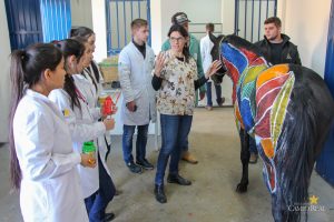 Medicina Veterinária promove atividades práticas interdisciplinares