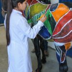 Medicina Veterinária promove atividades práticas interdisciplinares