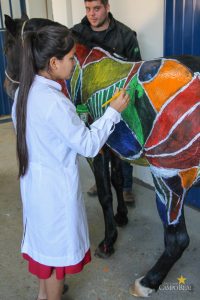 Medicina Veterinária promove atividades práticas interdisciplinares