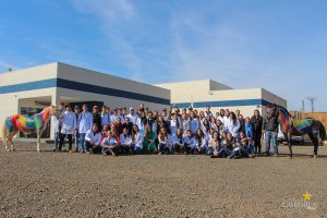 Medicina Veterinária promove atividades práticas interdisciplinares