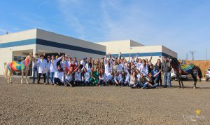 Medicina Veterinária promove atividades práticas interdisciplinares
