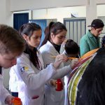 Medicina Veterinária promove atividades práticas interdisciplinares