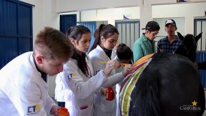 Medicina Veterinária promove atividades práticas interdisciplinares