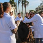 Medicina Veterinária promove atividades práticas interdisciplinares