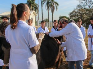 Medicina Veterinária promove atividades práticas interdisciplinares