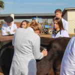 Medicina Veterinária promove atividades práticas interdisciplinares