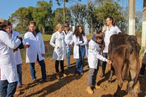 Medicina Veterinária promove atividades práticas interdisciplinares