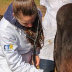 Medicina Veterinária promove atividades práticas interdisciplinares