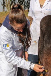 Medicina Veterinária promove atividades práticas interdisciplinares