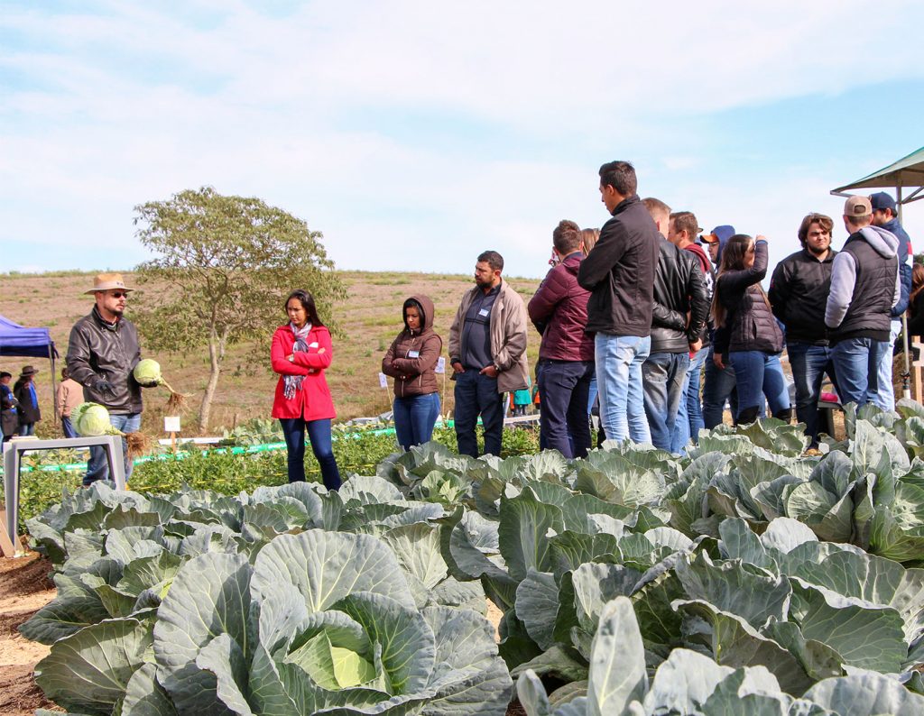 Engenharia Agronômica realiza Dia de Campo de Olericultura