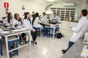 práticas interdisciplinares