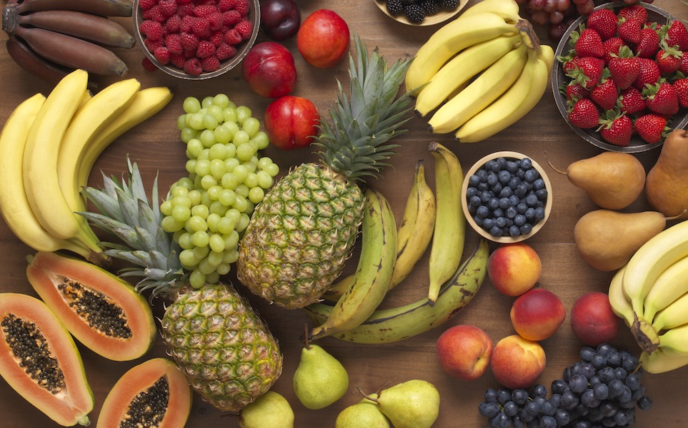 Jornada de Nutrição