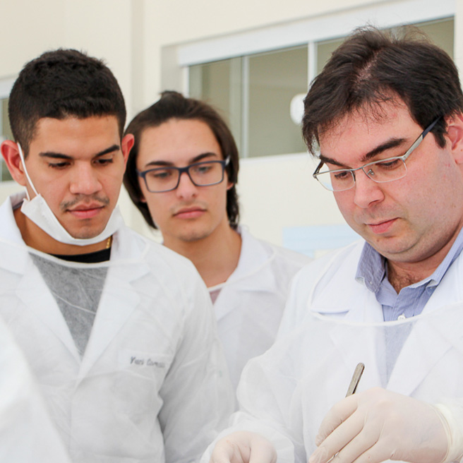 Atividade Didática de Estudo Anatômico Medicina Campo Real Guarapuava
