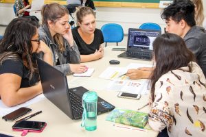 assessoria integrada, arquitetura e urbanismo, campo real, guarapuava
