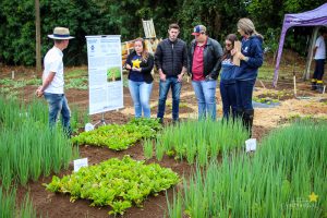 Dia de Campo de Olericultura Guarapuava Campo Real Engenharia Agronomica