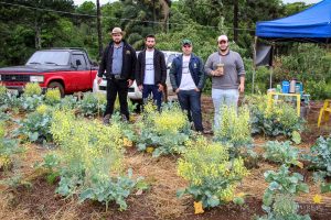 Dia de Campo de Olericultura Guarapuava Campo Real Engenharia Agronomica