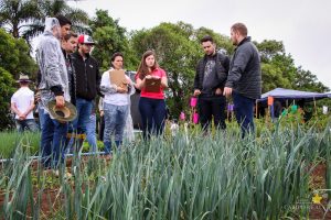 Dia de Campo de Olericultura Guarapuava Campo Real Engenharia Agronomica