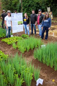 Dia de Campo de Olericultura Guarapuava Campo Real Engenharia Agronomica