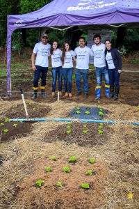 Dia de Campo de Olericultura Guarapuava Campo Real Engenharia Agronomica