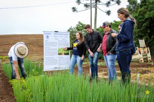 Dia de Campo de Olericultura Guarapuava Campo Real Engenharia Agronomica