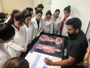 Cursos Técnicos desenvolvem atividades práticas na Campo Real