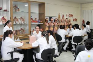Cursos Técnicos desenvolvem atividades práticas na Campo Real
