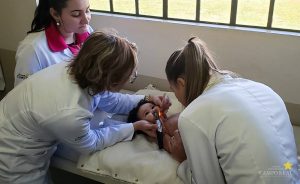 Acadêmicos de Medicina desenvolvem ações de Integração Ensino-Serviço
