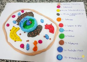Biomedicina promove aula prática de biologia celular