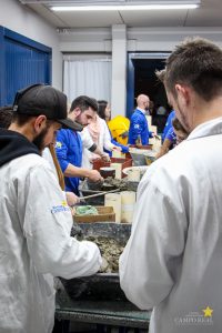 Concurso de Resistência de Concreto