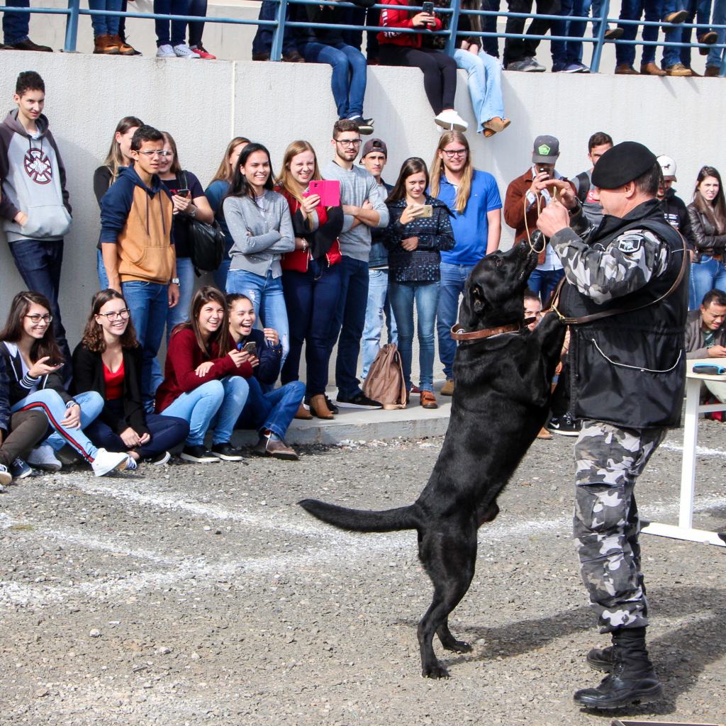 Medicina Veterinária promove atividade com o Batalhão de Polícia Militar (22)