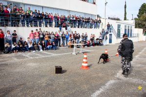 Medicina Veterinária promove atividade com o Batalhão de Polícia Militar