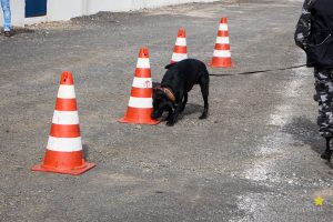 Medicina Veterinária promove atividade com o Batalhão de Polícia Militar