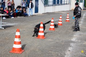 Medicina Veterinária promove atividade com o Batalhão de Polícia Militar