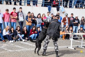 Medicina Veterinária promove atividade com o Batalhão de Polícia Militar