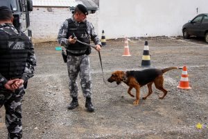 Medicina Veterinária promove atividade com o Batalhão de Polícia Militar