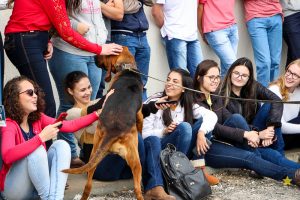 Medicina Veterinária promove atividade com o Batalhão de Polícia Militar