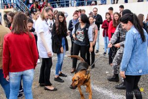 Medicina Veterinária promove atividade com o Batalhão de Polícia Militar