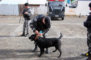 Medicina Veterinária promove atividade com o Batalhão de Polícia Militar