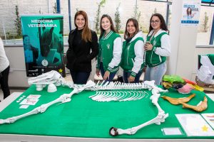 Medicina Veterinária realiza Exposição de Osteologia