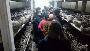 Acadêmicos de Engenharia Agronômica realizam visita técnica