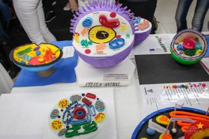 Acadêmicos promovem exposição de célula animal e vegetal