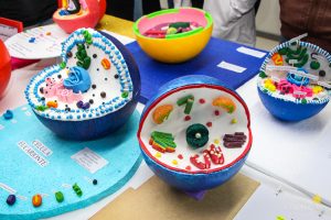 Acadêmicos promovem exposição de célula animal e vegetal