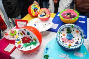 Acadêmicos promovem exposição de célula animal e vegetal