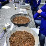Acadêmicos realizam análise granulométrica dos solos