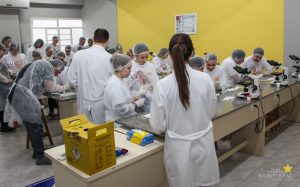 Estudantes do Colégio Lobo participam de oficinas