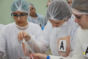 Estudantes do Colégio Lobo participam de oficinas