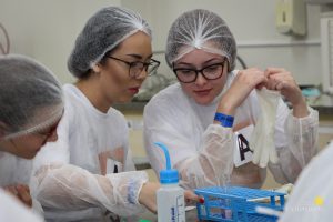 Estudantes do Colégio Lobo participam de oficinas