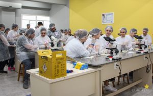 Estudantes do Colégio Lobo participam de oficinas