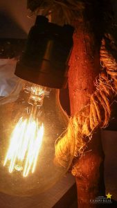 Luz, Câmera e Criação!